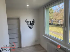 Pronájem bytu 2+1, Liberec - Liberec I-Staré Město, Ruprechtická, 54 m2