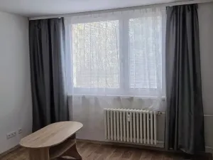 Pronájem bytu 1+1, Jihlava, Březinova, 32 m2