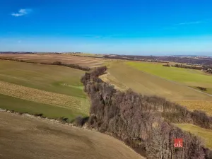 Prodej pozemku pro bydlení, Bílovec, 1117 m2