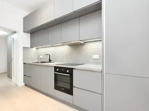 Prodej bytu 1+kk, Praha - Žižkov, Hartigova, 45 m2
