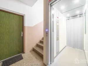 Prodej bytu 1+1, Sokolov, Švabinského, 38 m2