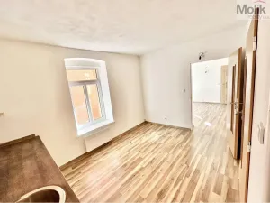 Prodej vícegeneračního domu, Luby, Chebská, 445 m2