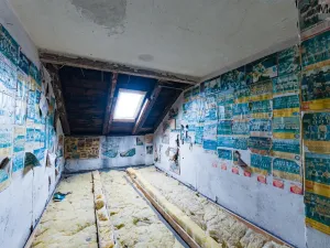 Prodej vícegeneračního domu, Luby, Chebská, 445 m2