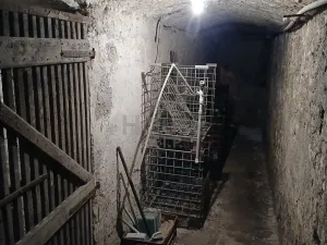 Prodej vícegeneračního domu, Kostelec nad Labem, nám. Komenského, 369 m2