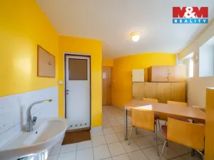 Pronájem výrobních prostor, Žďár, 1089 m2