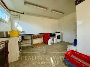 Prodej výrobních prostor, Brumovice, Hlavní, 60 m2