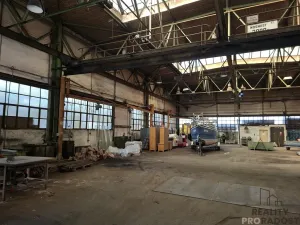 Pronájem skladu, Slaný, Netovická, 700 m2