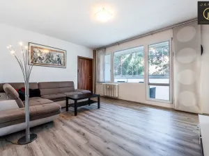 Prodej bytu 3+1, Brno, Dunajská, 67 m2