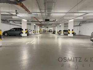 Pronájem garážového stání, Praha - Nusle, Závišova, 16129 m2