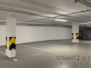 Pronájem garážového stání, Praha - Nusle, Závišova, 16129 m2