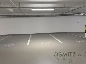 Pronájem garážového stání, Praha - Nusle, Závišova, 15 m2