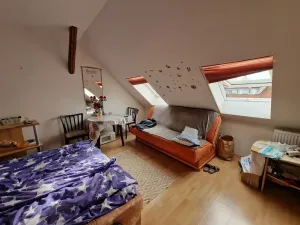 Pronájem rodinného domu, Telč, Na Posvátné, 260 m2