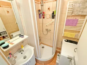 Pronájem bytu 2+1, Valašské Meziříčí, Růžová, 56 m2