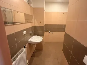 Pronájem bytu 3+1, Prostějov, Mlýnská, 70 m2