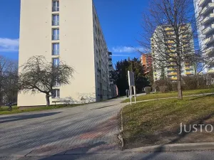 Prodej bytu 2+1, Písek, nábřeží 1. máje, 64 m2