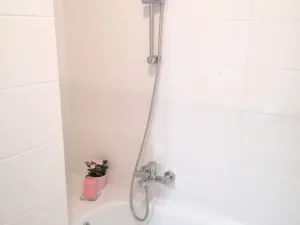 Pronájem bytu 1+1, Ostrava - Poruba, Maďarská, 39 m2