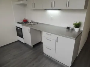 Pronájem bytu 1+1, Ostrava - Zábřeh, Výškovická, 36 m2