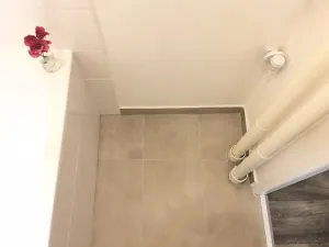 Pronájem bytu 2+1, Ostrava - Zábřeh, Patrice Lumumby, 55 m2