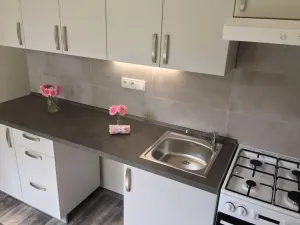 Pronájem bytu 1+1, Ostrava - Zábřeh, Svazácká, 35 m2