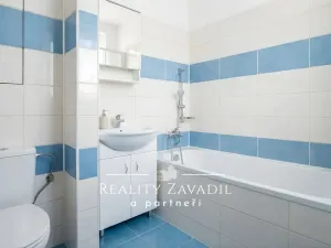 Pronájem bytu 1+1, Ostrava, Přemyslovců, 35 m2