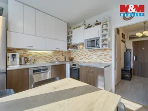 Prodej bytu 1+1, Plzeň - Severní Předměstí, Brněnská, 38 m2