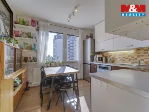 Prodej bytu 1+1, Plzeň - Severní Předměstí, Brněnská, 38 m2