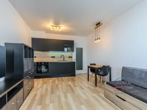 Prodej bytu 1+kk, Praha - Hloubětín, Modrého, 32 m2