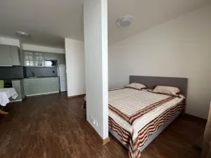 Pronájem bytu 1+kk, Praha - Dolní Měcholupy, Honzíkova, 42 m2