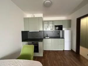 Pronájem bytu 1+kk, Praha - Dolní Měcholupy, Honzíkova, 42 m2
