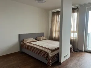 Pronájem bytu 1+kk, Praha - Dolní Měcholupy, Honzíkova, 42 m2