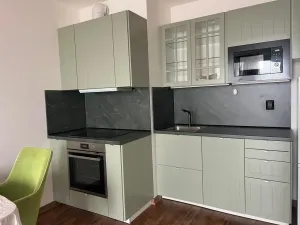 Pronájem bytu 1+kk, Praha - Dolní Měcholupy, Honzíkova, 42 m2