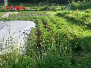 Prodej zahrady, Kamenice, 1533 m2