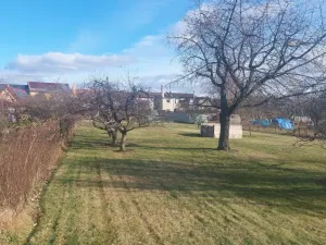 Prodej zahrady, Olomouc, Lidická, 1080 m2