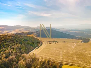 Prodej rodinného domu, Janovice nad Úhlavou, 142 m2