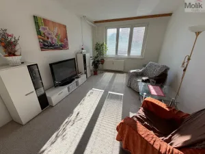 Prodej bytu 4+1, Louny, Kpt. Nálepky, 81 m2