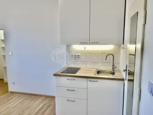 Pronájem bytu 1+kk, Praha - Nusle, V Horkách, 17 m2