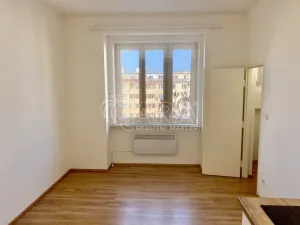 Pronájem bytu 1+kk, Praha - Nusle, V Horkách, 17 m2