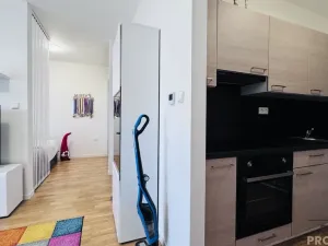 Pronájem bytu 1+kk, Dubňany, Hornická, 37 m2