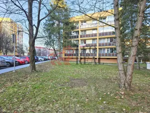 Prodej bytu 3+kk, Nový Jičín, Budovatelů, 70 m2