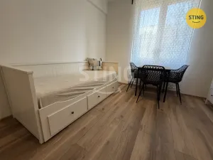 Pronájem bytu 1+kk, Ostrava, Nádražní, 19 m2