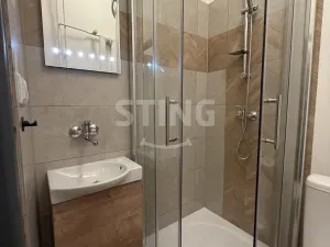 Pronájem bytu 1+kk, Ostrava, Nádražní, 19 m2