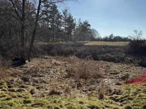 Prodej chaty, Velký Bor - Slivonice, 35 m2