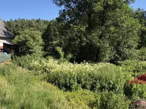Prodej chaty, Velký Bor - Slivonice, 35 m2