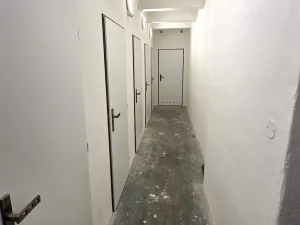 Prodej bytu 3+kk, Pardubice - Zelené Předměstí, Lexova, 81 m2