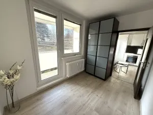 Pronájem bytu 1+1, Brno, Prokofjevova, 36 m2