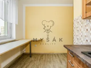 Prodej bytu 3+1, České Budějovice - České Budějovice 2, Otavská, 71 m2