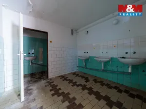 Prodej obchodního prostoru, Abertamy, Bož. Němcové, 800 m2