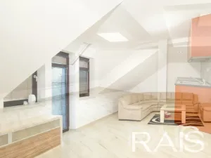 Prodej vícegeneračního domu, Hodonín, Muchova, 235 m2