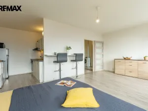 Prodej bytu 1+kk, Litvínov - Hamr, Přátelství, 33 m2