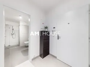 Pronájem bytu 1+kk, Praha - Karlín, Sokolovská, 40 m2